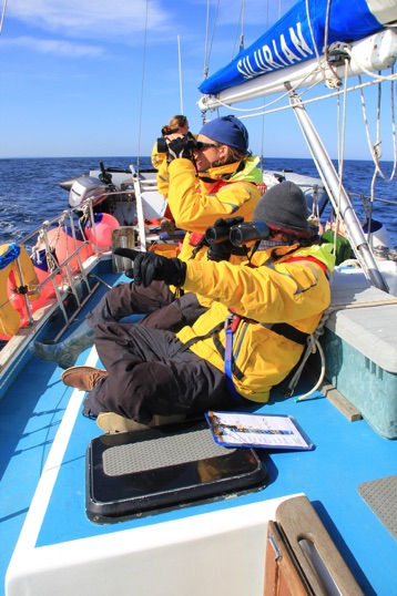 Volunteers on board Silurian